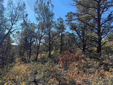 0 Wilde St, Timberon, NM 88350 - photo 7