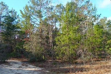 Wooded Lot on Cul-de-Sac