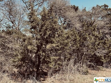 13184 Harbor Dr, Temple, TX 76502 - photo 3