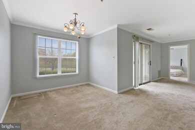 8901 Stone Creek Place unit 204, Pikesville, MD 21208 - photo 7