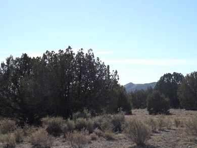 0 W Gunsite Rd, Paulden, AZ 86334 - photo 5