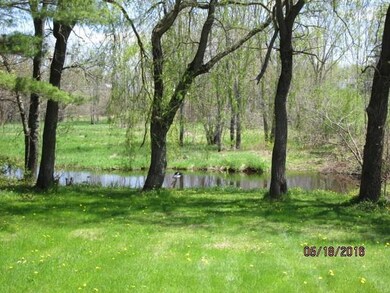 Blackstream Brook