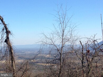 0 Battlefield Rd unit 1002812898, Strasburg, VA 22657 - photo 2