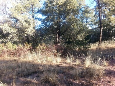 200 E Zurich Dr, Payson, AZ 85541 - photo 4