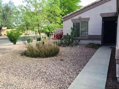 Front Yard