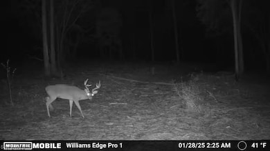 1669 Lawrence Rd, Bonifay, FL 32425 - photo 3