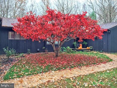 6709 Wilson Rd, Marshall, VA 20115 - photo 3