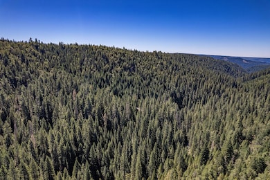 No Address Texas Hill Rd, Emigrant Gap, CA 95715 - photo 7