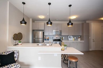Kitchen featuring gray cabinetry, light hardwood /