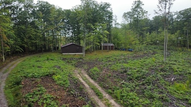 1385 N Hubbard Lake Rd, Spruce, MI 48762 - photo 2