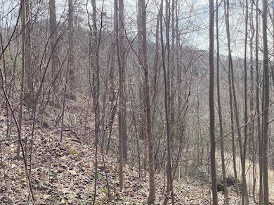 374 Taylor Way, Hiawassee, GA 30546 - photo 5