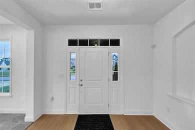 Foyer featuring light wood-type flooring and healthy amount of natural light