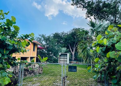 Back yard