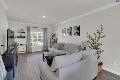 524 Silver Dipper Run, Lexington, SC 29072 - photo 5