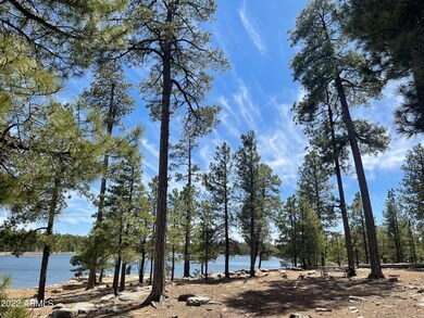 Willow Springs