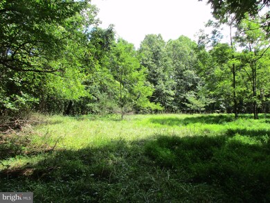 0 Tabor Rd unit 1000202295, Berkeley Springs, WV 25411 - photo 3