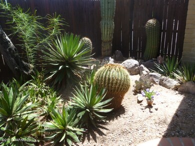 patio landscape