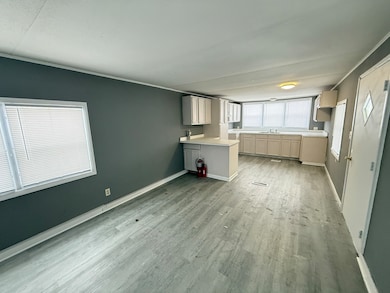 1712 S Dixie Hwy unit 37, Crete, IL 60417 - photo 3