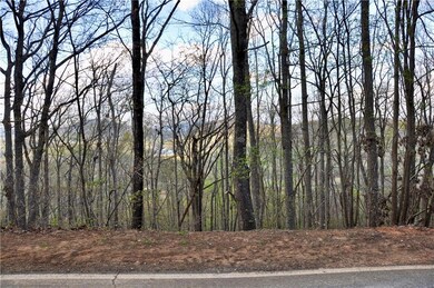 8259 Cox Mountain Dr, Big Canoe, GA 30143 - photo 4