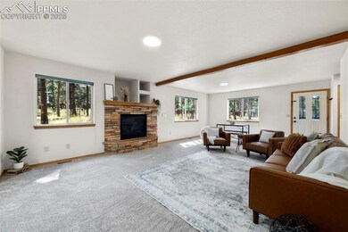 316 N Walnut St, Woodland Park, CO 80863 - photo 6