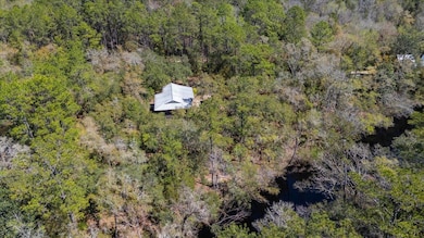 30 Lizard Ln, Sopchoppy, FL 32358 - photo 5