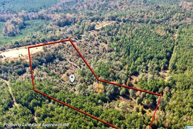 0 County Road 101, Plantersville, AL 36758 - photo 5