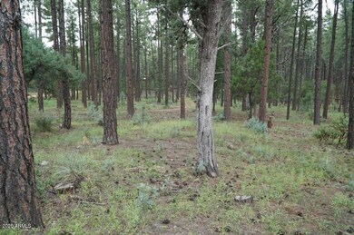 21B N Wild Oak Dr unit 20, Payson, AZ 85541 - photo 3