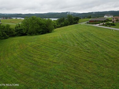 DJI_0171