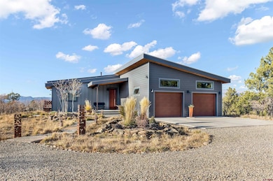 701 Henry's Lake Dr, Pagosa Springs, CO 81147 - photo 4