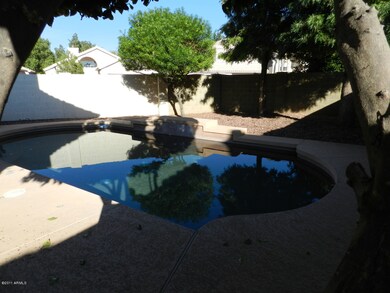 BACK YARD & POOL