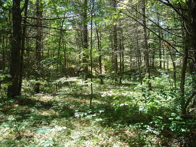 DSC00359