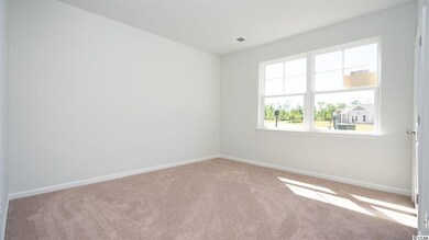 315 Woodcross Ct unit Lot 118- Cali A, Conway, SC 29526 - photo 7