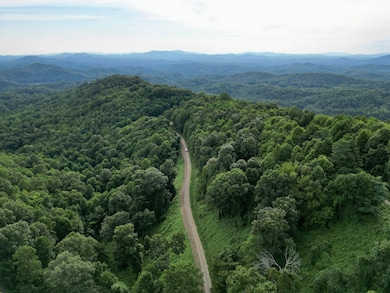 179.88 Ac Fain Peak, Murphy, NC 28906 - photo 5