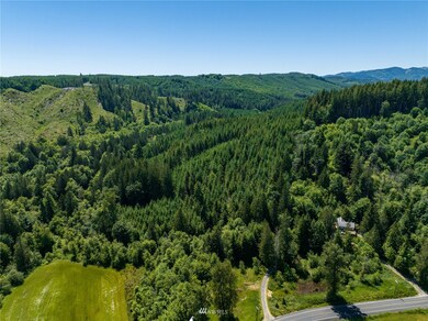 0 XXX Bunker Creek Rd, Chehalis, WA 98532 - photo 2