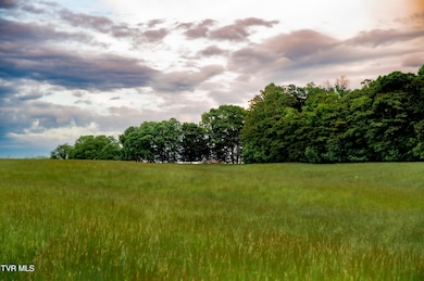 2200 Rd, Limestone, TN 37681 - photo 5