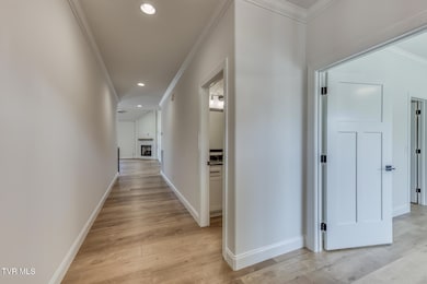 111 Quiet Stroll Ln, Gray, TN 37615 - photo 7