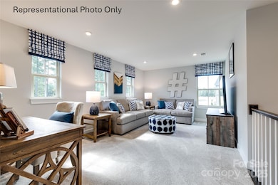 1010 Nettle Bank Rd unit 3303, Indian Trail, NC 28079 - photo 4