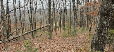 10527 E Devils Den Rd, Winslow, AR 72959 - photo 2