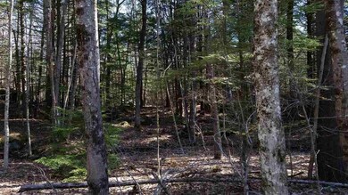 5.2 acres wooded, rolling building lot,  sprinkled