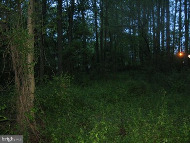 L:2 Lawnton Ave, West Deptford Township, NJ 08096 - photo 4