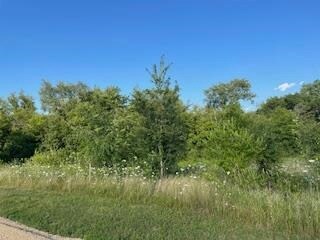Lot 41 Lucille Ln, Merrimac, WI 53561 - photo 5