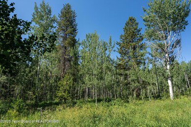 6-Lot9Woodchuck_JGPhoto-1
