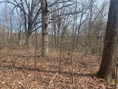 0 Kings Lynn Ln unit 1143367, Bella Vista, AR 72715 - photo 7