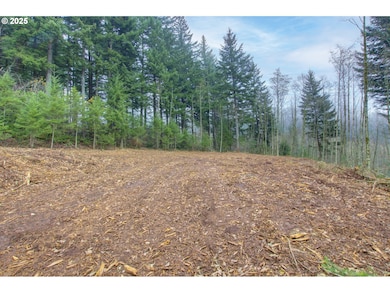 0 NE Hancock Rd unit 489816986, Camas, WA 98607 - photo 7