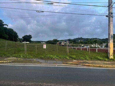 PR-417 Barrio Marias En Aguada, Aguada, PR 00602 - photo 4