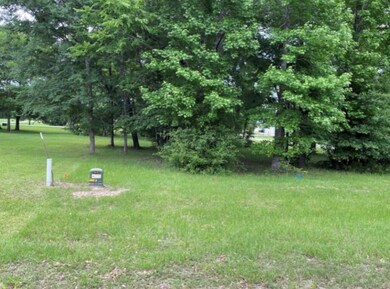 4 Lily Cove, Huntsville, TX 77340 - photo 5