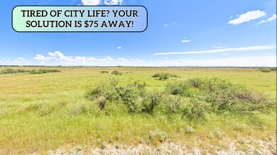 Akela Lun unit a New Mexico, Akela, NM 88030 - photo 5