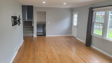 308 Tamarack Ave, Naperville, IL 60540 - photo 4