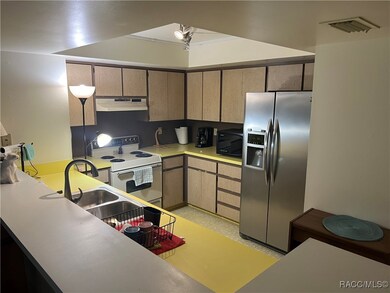 1 Cypress Run unit 11C, Homosassa, FL 34446 - photo 3