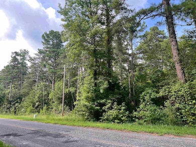 447 Mullinax Cir, Blacksburg, SC 29702 - photo 2